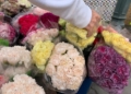 WhatsApp Image 2022 10 26 at 19.46.56 2 Los claveles y las rosas, las flores más demandadas para el Día de Todos los Santos en Melilla