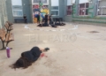 Foto 2 El alumnado de arte del IES Rusadir realiza una 'performance' contra la violencia de género