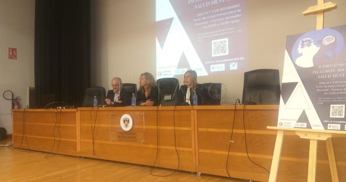 SS 1 Maeso: "La prioridad es construir un piso tutelado" para pacientes con problemas de salud mental