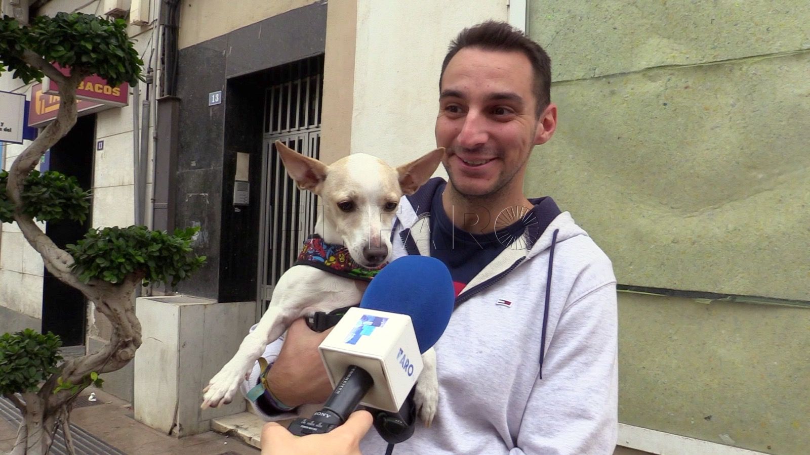 WhatsApp Image 2022 11 16 at 6.31.43 PM ¿Cuál es el nombre más común de perro en Melilla?