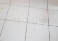 WhatsApp Image 2022 11 18 at 12.39.49 1 Trabajadores de Hércules afirman que llevan siete meses sin cobrar
