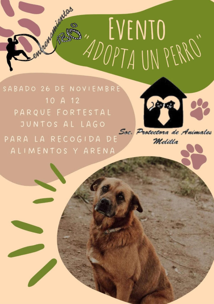WhatsApp Image 2022 11 23 at 10.21.51 La Sociedad Protectora de Animales de Melilla recoge arena y pienso este sábado en el Parque Forestal