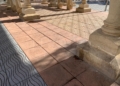 WhatsApp Image 2022 11 29 at 17.23.22 1 La Plaza de las Conchas repleta de suciedad, destrozos y grafitis