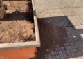 WhatsApp Image 2022 11 29 at 17.23.26 La Plaza de las Conchas repleta de suciedad, destrozos y grafitis
