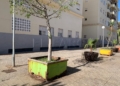WhatsApp Image 2022 11 29 at 17.23.26 3 La Plaza de las Conchas repleta de suciedad, destrozos y grafitis