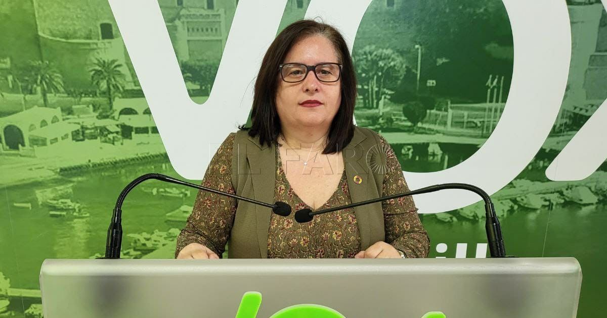 fea 1 Vox Melilla critica el estado del cauce del río de Oro