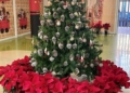 ARBOL La magia de la Navidad ha llegado a las escuelas infantiles de Melilla