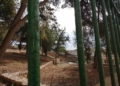 WhatsApp Image 2022 12 09 at 13.49.39 El parque Lobera, un bonito recuerdo