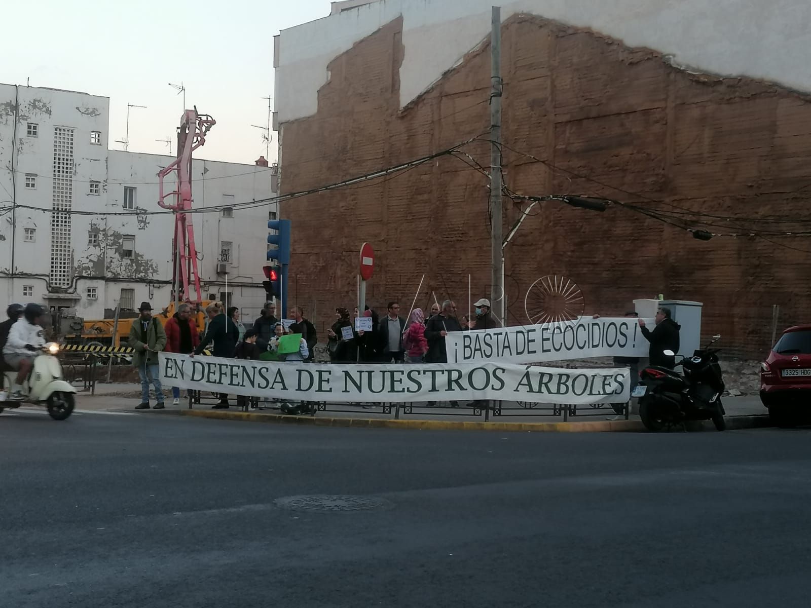 WhatsApp Image 2022 12 19 at 18.13.14 2 Denuncian la retirada de árboles en Conde de Alcaudete en favor de los nuevos edificios