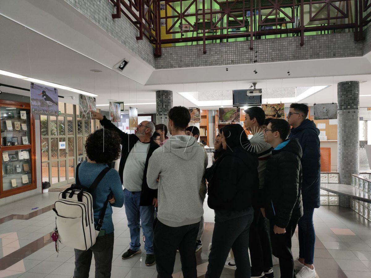 164c4d70 7877 45c2 8530 bd2e49264a98 e1674585455752 El IES Miguel Fernández acoge una exposición sobre la biodiversidad de Melilla