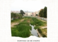 Cartel Salida biodiversidad Rio de Oro 1 Fin de semana medioambiental de la mano de SEO BirdLife y Guelaya