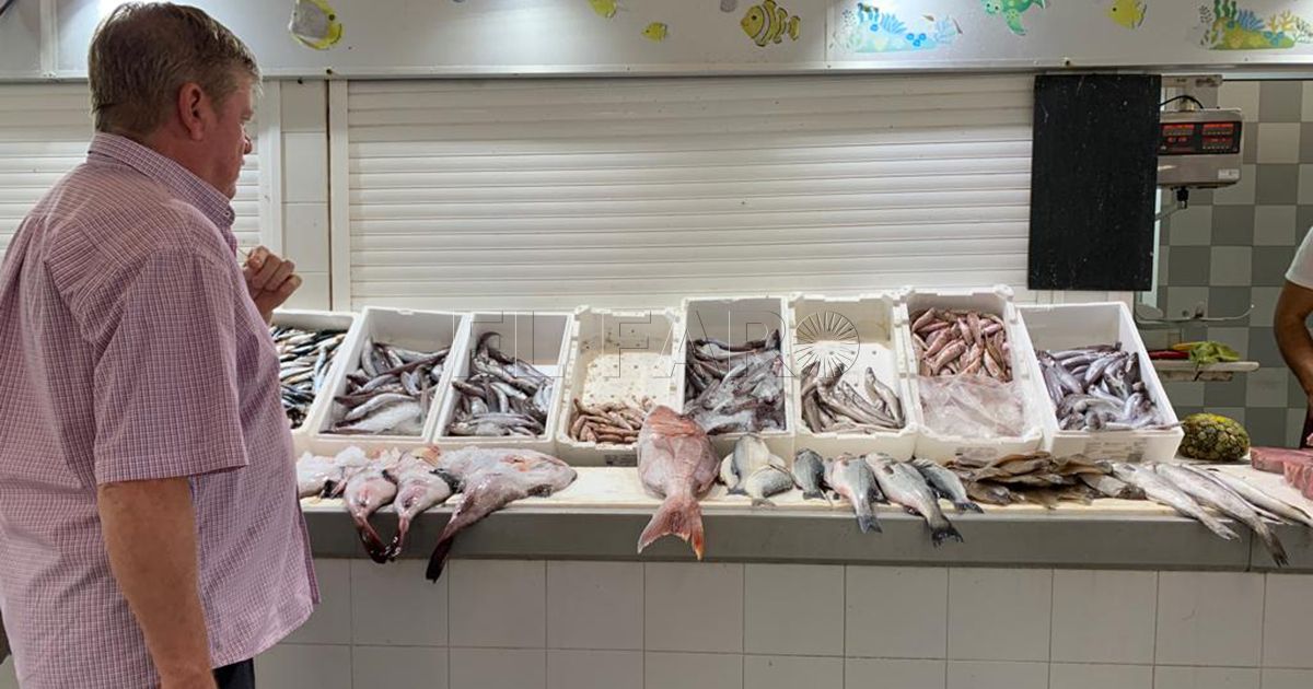 El Ministerio de Sanidad no aclara si entrará pescado a Melilla por la aduana