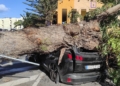 WhatsApp Image 2023 01 18 at 18.09.18 Una mujer se salva de milagro tras desplomarse un árbol sobre el coche que conducía en el Tesorillo