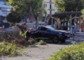 WhatsApp Image 2023 01 18 at 18.11.02 Una mujer se salva de milagro tras desplomarse un árbol sobre el coche que conducía en el Tesorillo