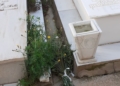 WhatsApp Image 2023 01 22 at 18.52.49 4 El estado del cementerio municipal despierta las quejas de los ciudadanos