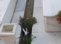 WhatsApp Image 2023 01 22 at 18.52.49 5 El estado del cementerio municipal despierta las quejas de los ciudadanos