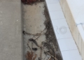 WhatsApp Image 2023 01 22 at 18.52.50 4 El estado del cementerio municipal despierta las quejas de los ciudadanos