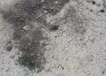 WhatsApp Image 2023 01 22 at 18.52.50 5 El estado del cementerio municipal despierta las quejas de los ciudadanos