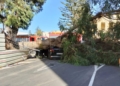 d5ac33cd 95b7 4315 89ff dbda3e8d35b3 Una mujer se salva de milagro tras desplomarse un árbol sobre el coche que conducía en el Tesorillo