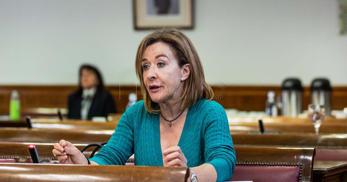 Vox 2 Vox recrimina al PSOE que los niños y adolescentes son los grandes olvidados en su gestión económica