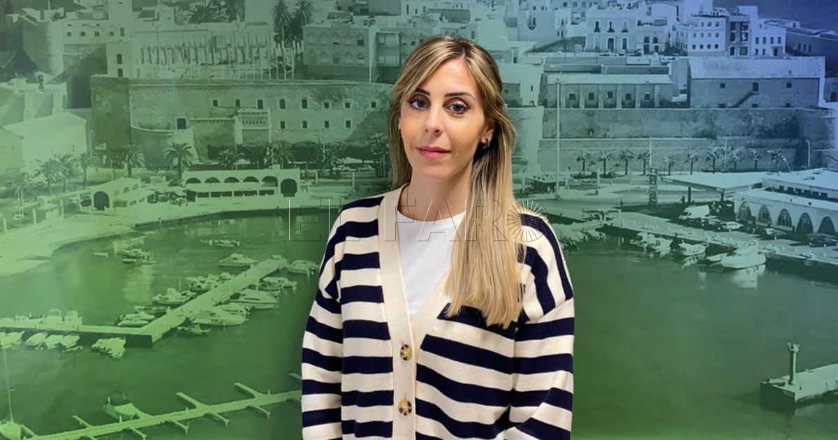 Vox 3 Vox Melilla insta al Ejecutivo a completar las mejoras del aeropuerto