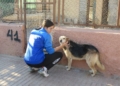 WhatsApp Image 2023 02 02 at 10.31.25 El CV Melilla femenino visita la Protectora de Animales