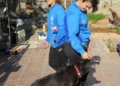 WhatsApp Image 2023 02 02 at 10.31.27 El CV Melilla femenino visita la Protectora de Animales