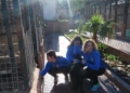 WhatsApp Image 2023 02 02 at 10.31.38 El CV Melilla femenino visita la Protectora de Animales