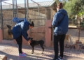 WhatsApp Image 2023 02 02 at 10.31.39 El CV Melilla femenino visita la Protectora de Animales