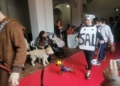 WhatsApp Image 2023 02 19 at 17.42.53 1 Otto se corona como ganador del Concurso de Disfraces de Mascotas