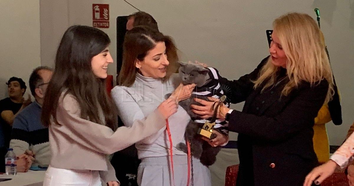 concursodisfrazmascotas Otto se corona como ganador del Concurso de Disfraces de Mascotas