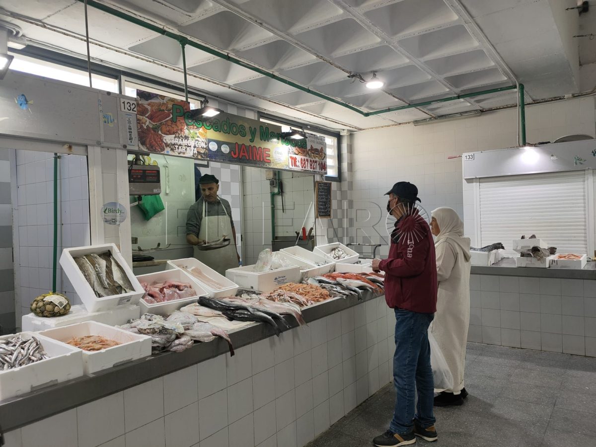 0ce68894 3a46 40c4 a74d b0c44197c37e e1678902017897 El pescado fresco, un artículo de lujo para los melillenses