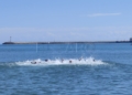1927292c 61fa 4ac2 95c7 0558f0bca3d3 Dominio español en el Campeonato Europeo Junior de Triatlón
