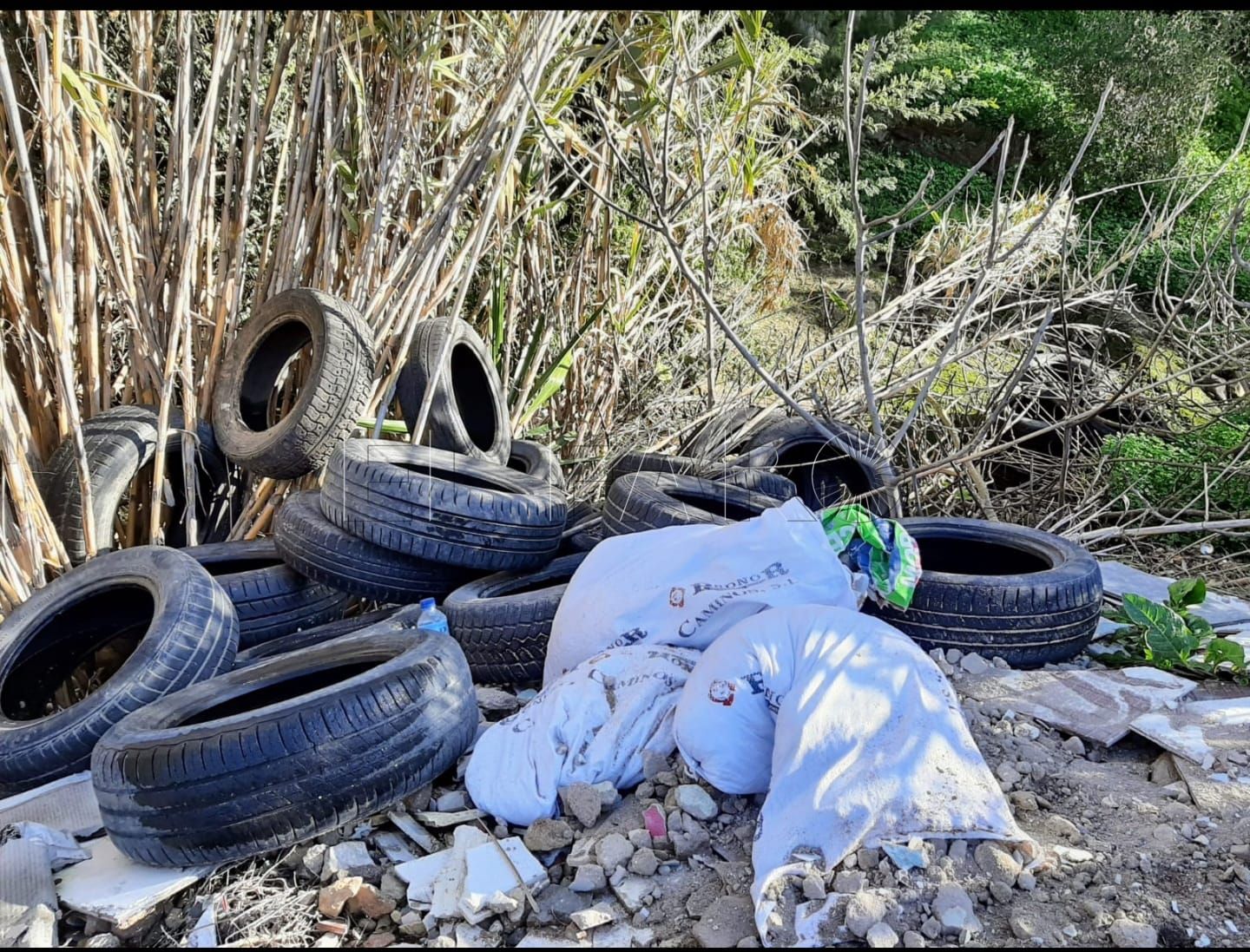329231409 1377569986337615 5590885386994150581 n Melilla en Verde reclama a Transparencia el silencio de Medio Ambiente y Urbanismo sobre estadísticas de denuncias