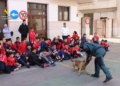 4366cf79 43bf 4a12 a872 5d0393287ef6 Alumnos y profesores del CEIP León Solá visitan la Comandancia de la Guardia Civil
