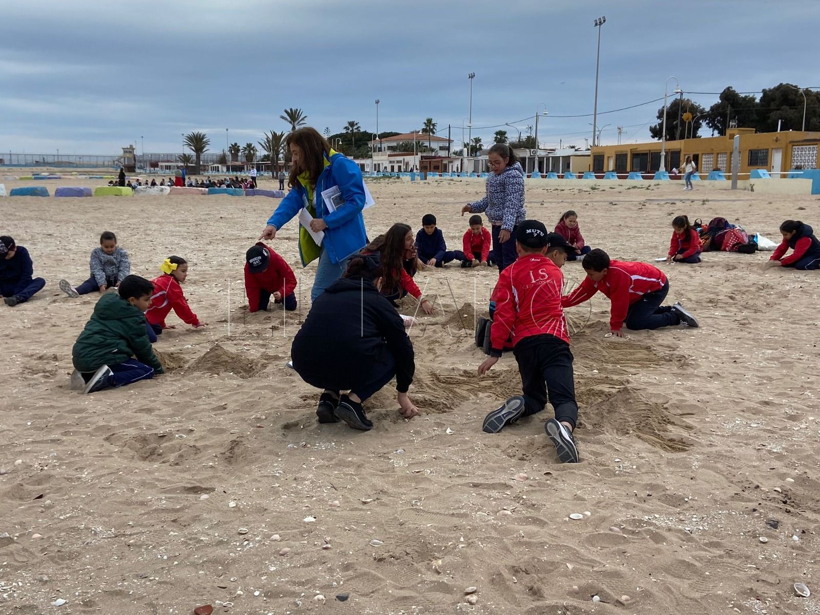 WhatsApp Image 2023 03 08 at 09.27.08 Colegios de Melilla participan en actividades del plan Red Natura 2000