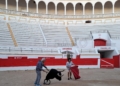 WhatsApp Image 2023 03 26 at 11.45.57 1 La Plaza de Toros de Melilla se hace internacional