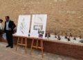 WhatsApp Image 2023 03 30 at 12.01.17 2 El foso y la galería del parque Lobera deberían de estar abiertos en 15 días