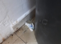 53f20a8e a4c0 4f79 b16c f268209c60de El PP exige una limpieza de choque en Aulas Culturales de Mayores