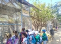 991A15F7 CA64 4A0B B240 650DB3E8317E Finaliza la segunda edición del Campamento Medioambiental organizado por la Asociación Meraki