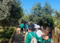A663B388 FEB6 4278 A5F2 87CE5116FD91 Finaliza la segunda edición del Campamento Medioambiental organizado por la Asociación Meraki