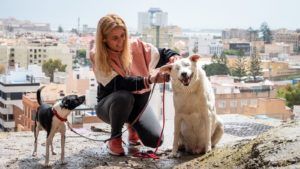 Aguilar perros Los candidatos pasan una jornada de reflexión "pasada por agua"