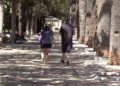 Turist parque Casi doscientos turistas desembarcan en Melilla en el tercer crucero del año