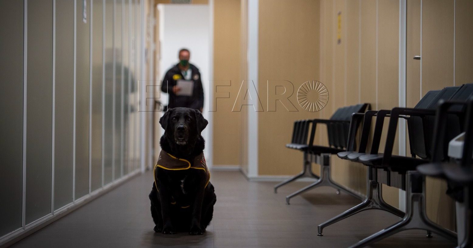 WhatsApp Image 2023 05 08 at 11.54.38 e1683883034995 “El perro ayuda al niño que tiene que declarar en los Juzgados dado que le rebaja la tensión”