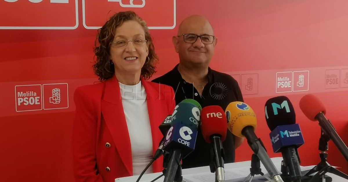 gloriavareapsoe Un "ambicioso" plan de placas solares y la movilidad sostenible, entre las propuestas medioambientales del PSOE