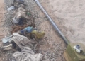 869b38c4 be44 4d05 b683 f6e752fa18a3 Iniciada la limpieza de fondos marinos en Galápagos