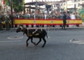 WhatsApp Image 2023 06 03 at 19.59.56 2 La Avenida, abarrotada de gente para seguir el desfile del Difas 2023