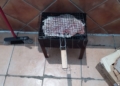 ad046176 215a 4432 ad36 1924e81694f0 Pasteles caseros para desayunar, hígado a la brasa para comer