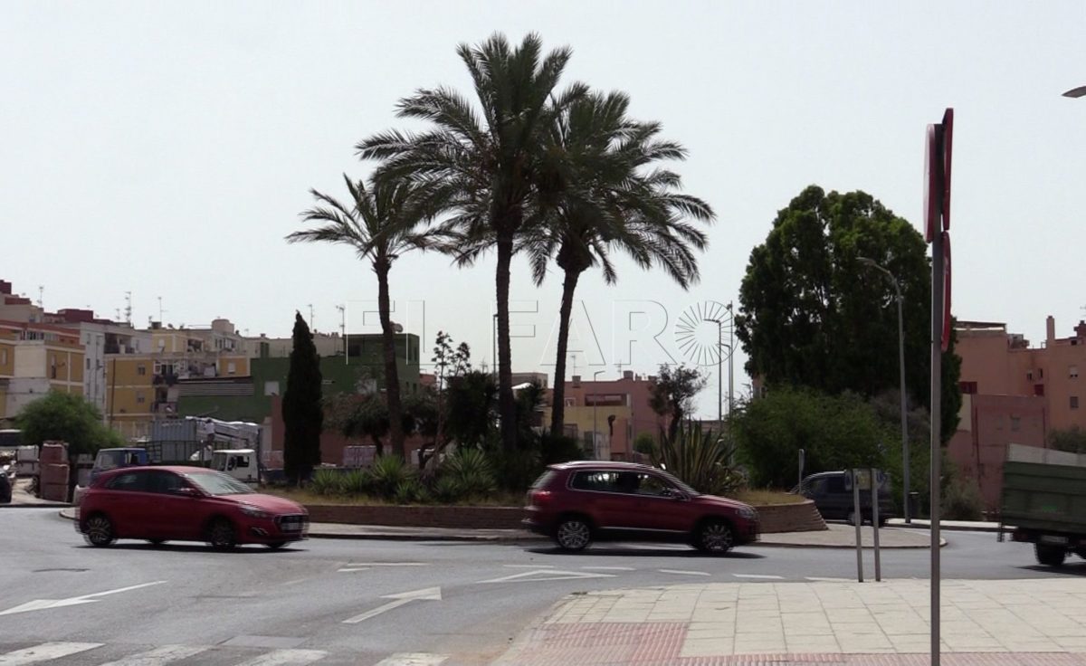 Las Palmeras