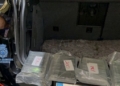 Foto 8 La Policía Nacional da un nuevo golpe al narcotráfico que introducía cocaína en Melilla
